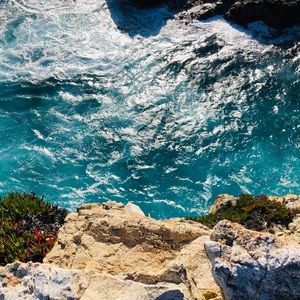 Meet your Posher, Steve